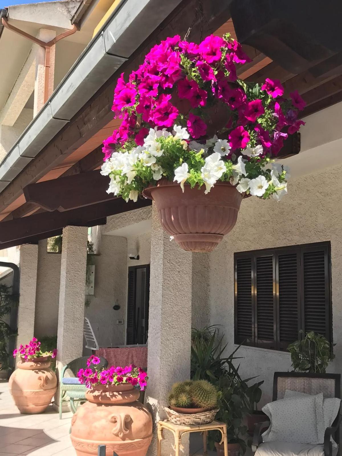 Hotel B&B Rispescia Grosseto Exteriör bild