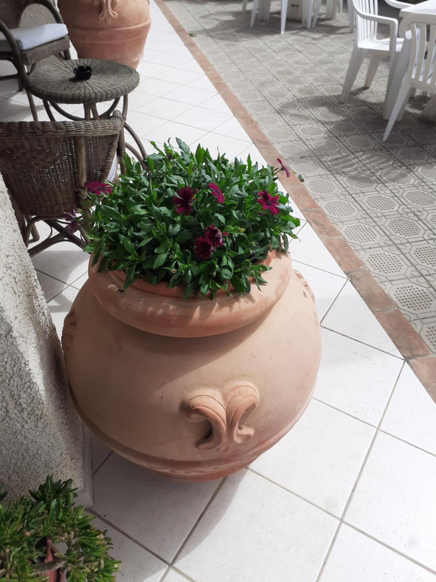 Hotel B&B Rispescia Grosseto Exteriör bild